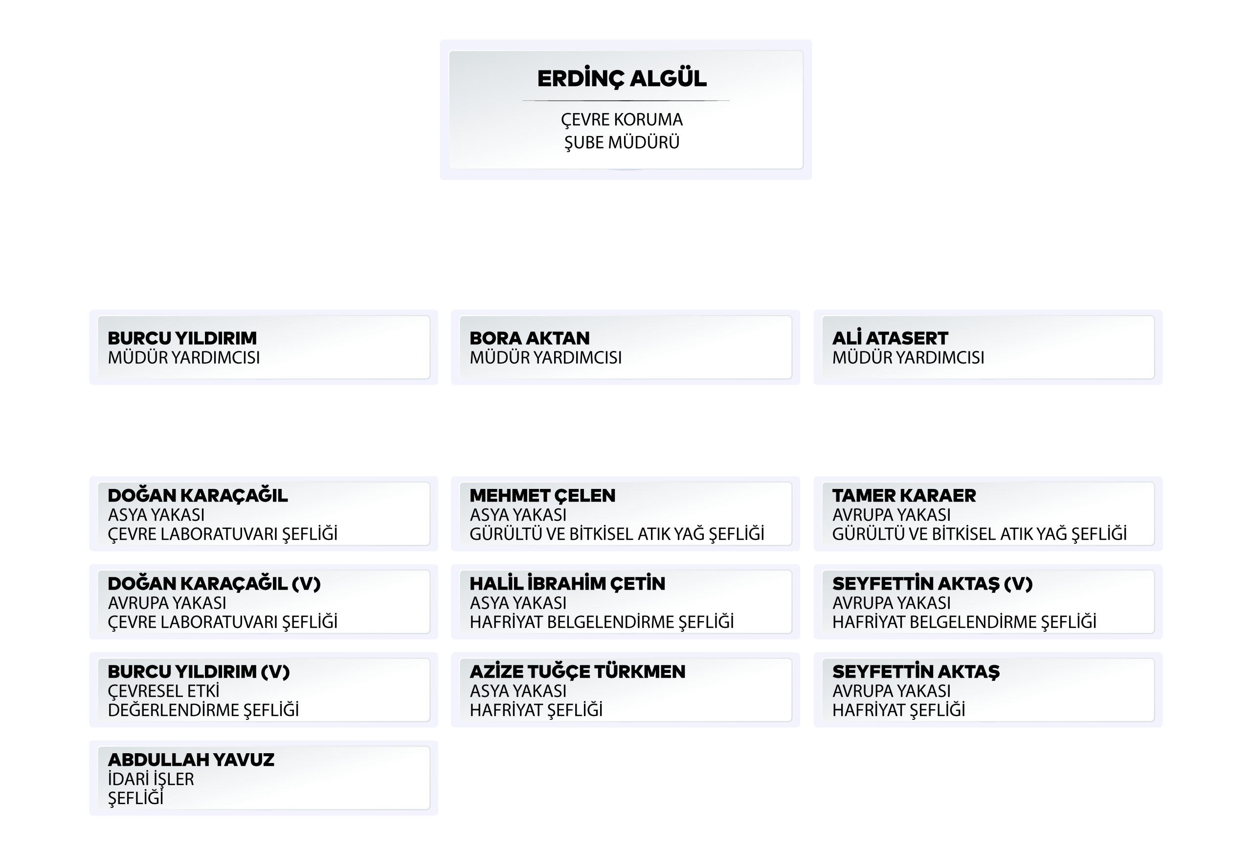 Organizasyon Şeması
