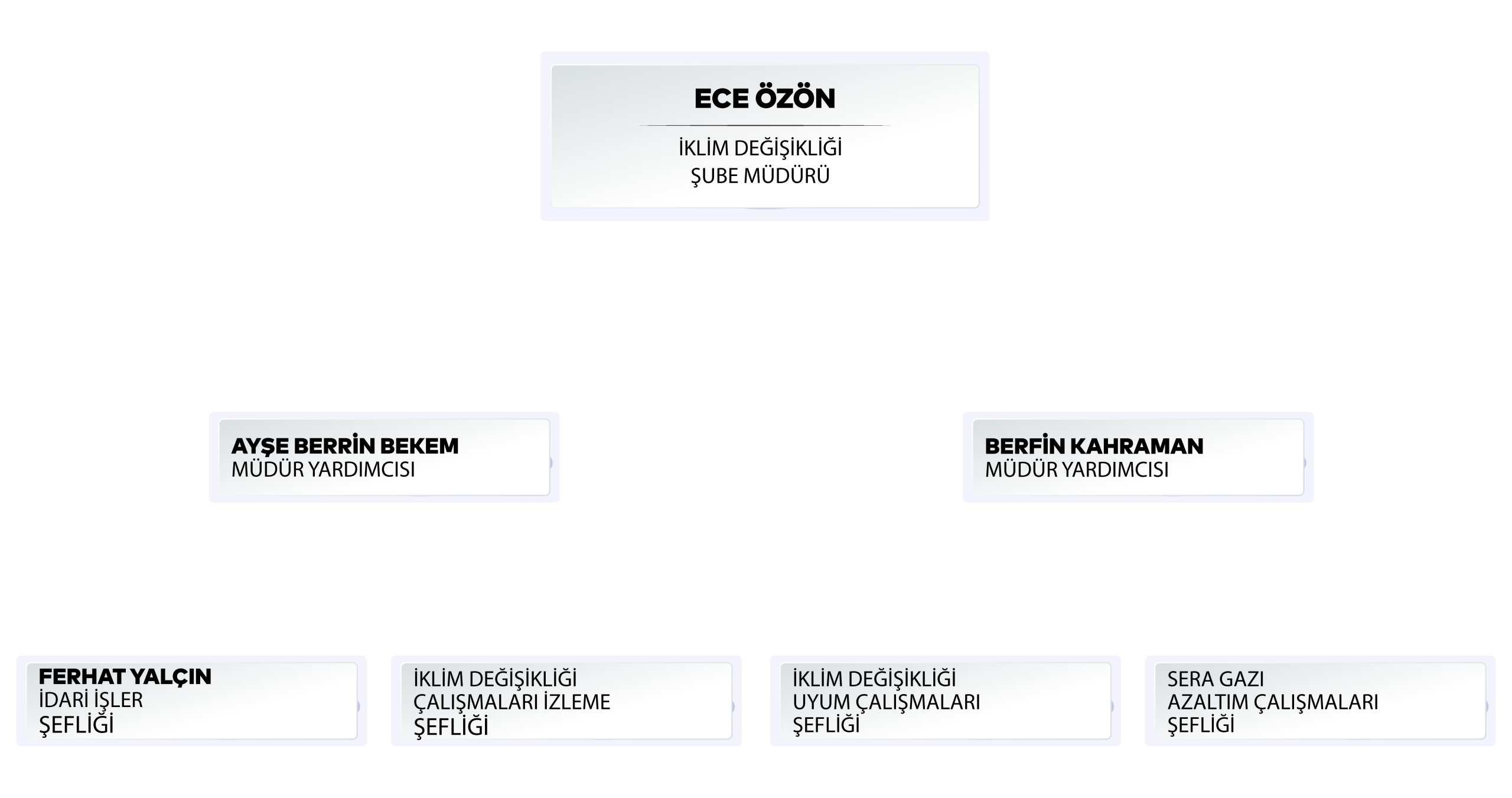 Organizasyon Şeması